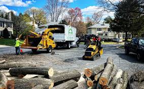 Best Tree Risk Assessment  in Una, WA