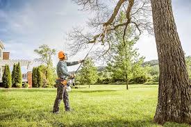 Best Tree Maintenance Programs  in Una, WA
