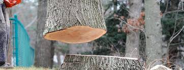 Best Tree Removal  in Una, WA